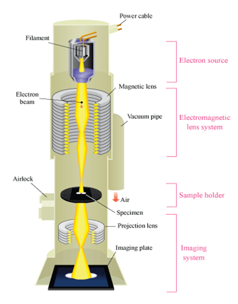 Components of the TEM